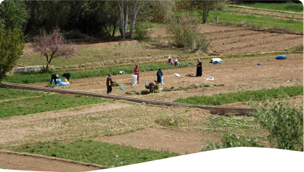 Morocco: Irrigation water pricing policy of large scale irrigation projects