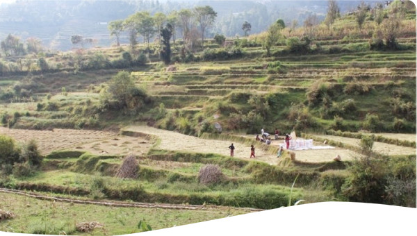 Nepal: Application of modelling to investigate irrigation conflicts between small farmers of Bajrabarahi