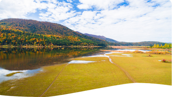 Slovenia: Ecosystem restoration of Lake Cerknica